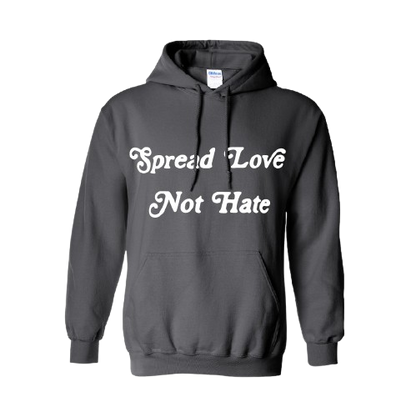 Love Not Hate Hoodie
